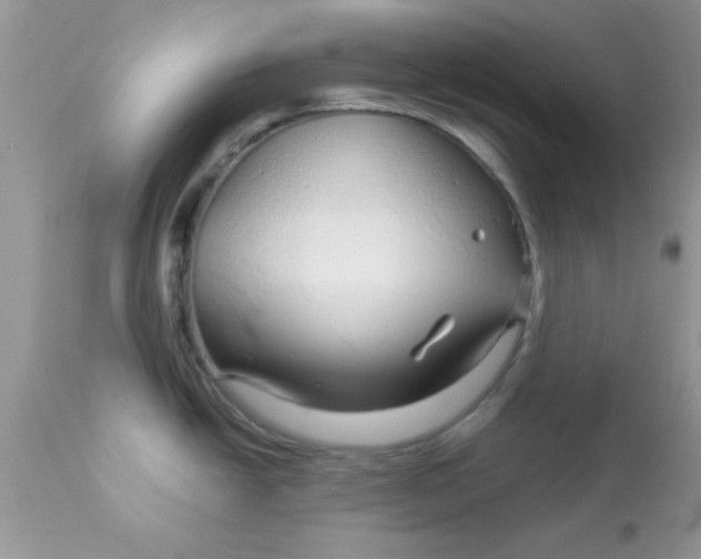 X0000113091438200909182103