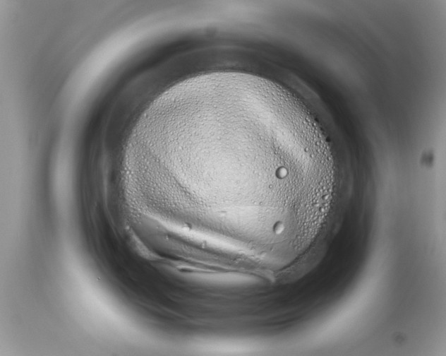 X0000113091439200909182103