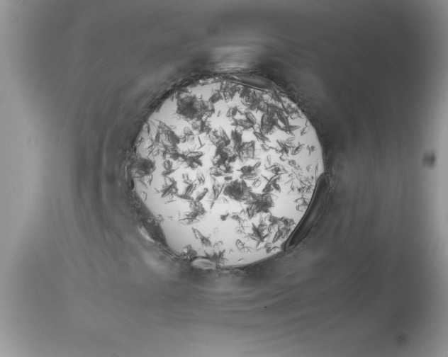 X0000113091441200909182102