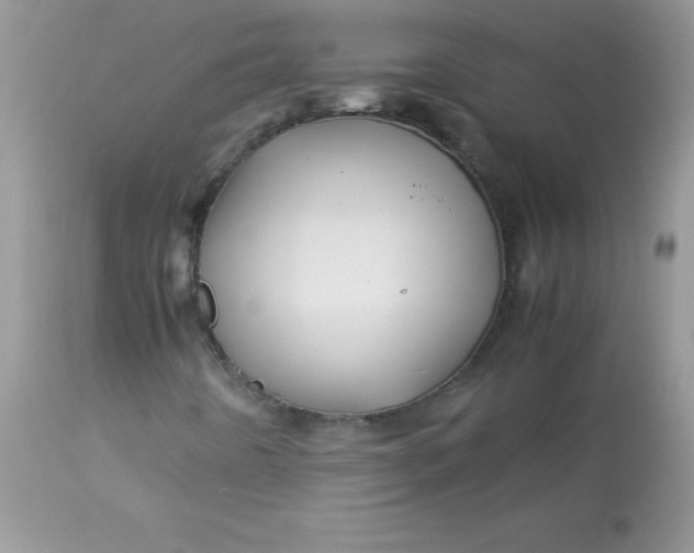 X0000113091442200909182102