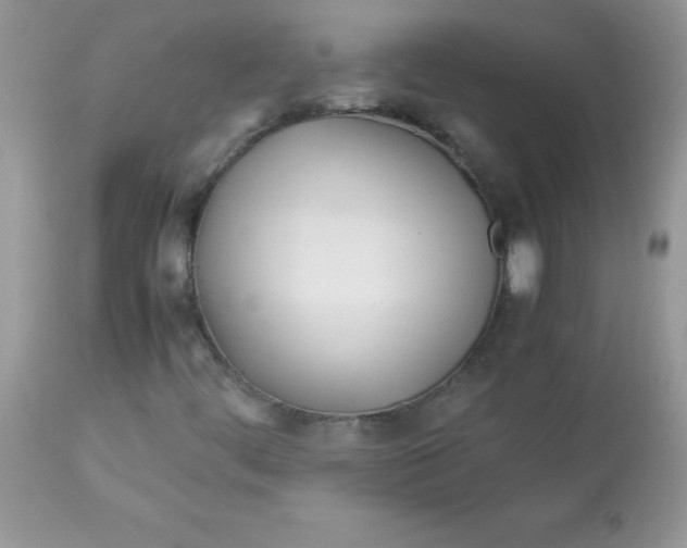 X0000113091444200909182102