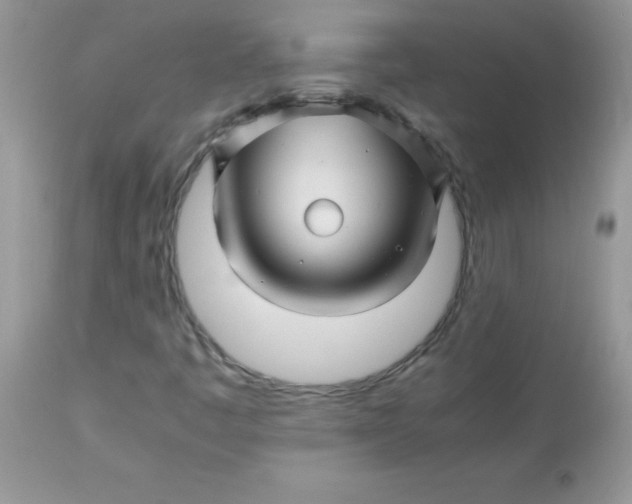 X0000113091445200909182102