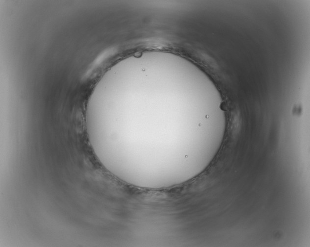 X0000113091446200909182102