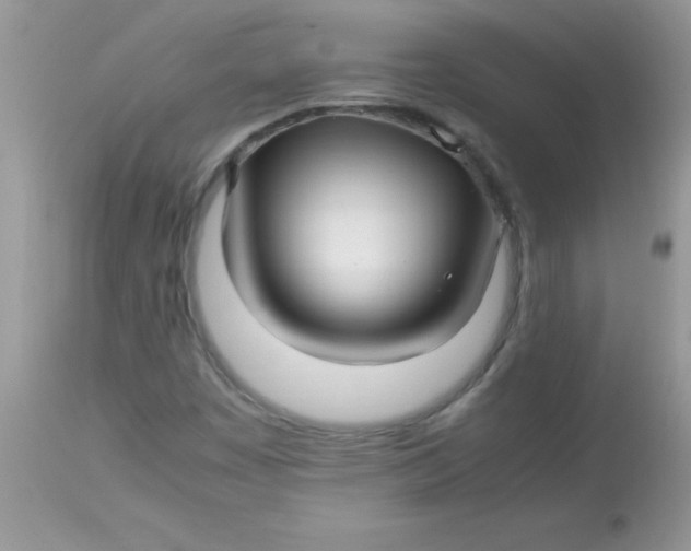 X0000113091449200909182102
