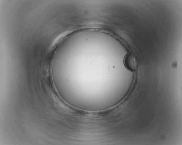 X0000113091451200909182102