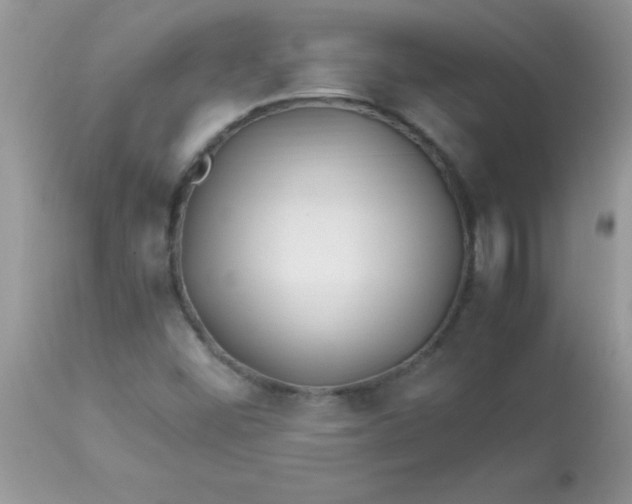 X0000113091452200909182102