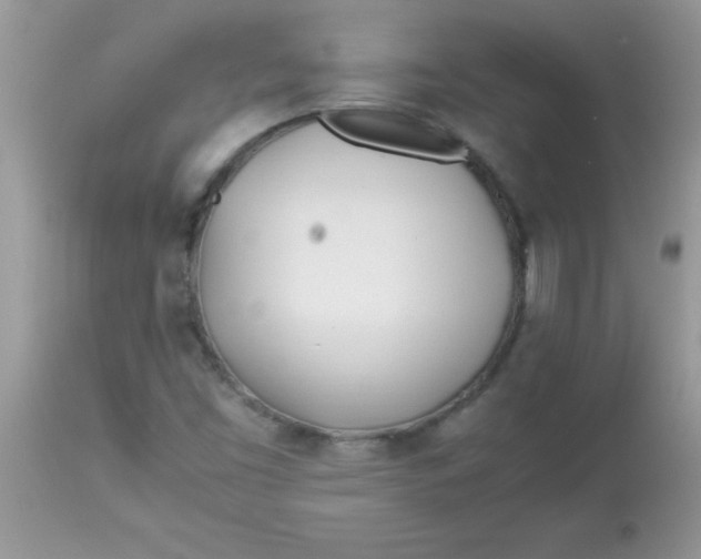 X0000113091453200909182102