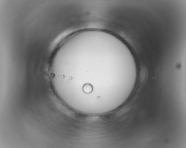 X0000113091454200909182102