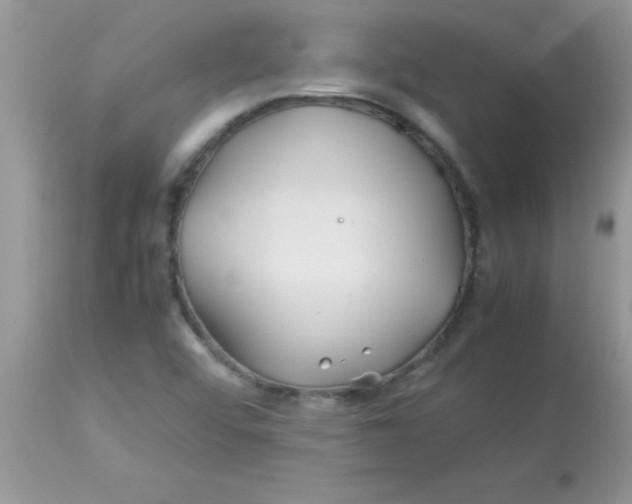 X0000113091456200909182102