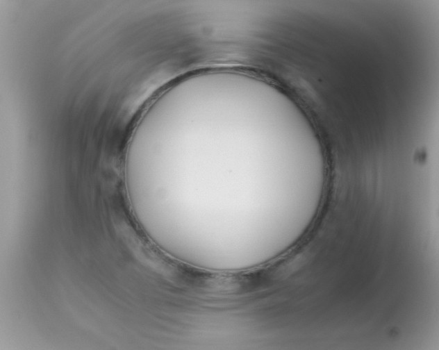 X0000113091457200909182102