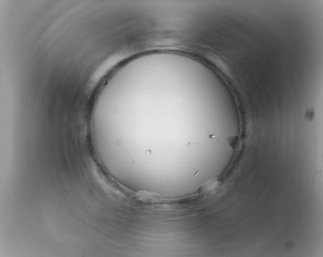 X0000113091458200909182102