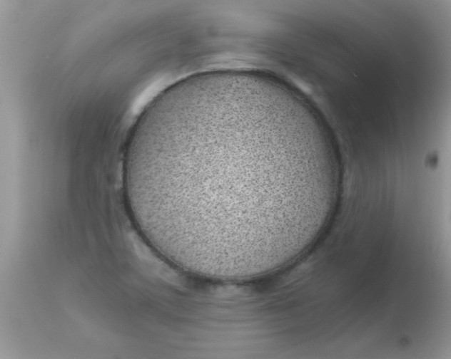 X0000113091459200909182102