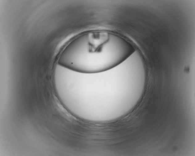 X0000113091460200909182102