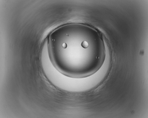 X0000113091461200909182102