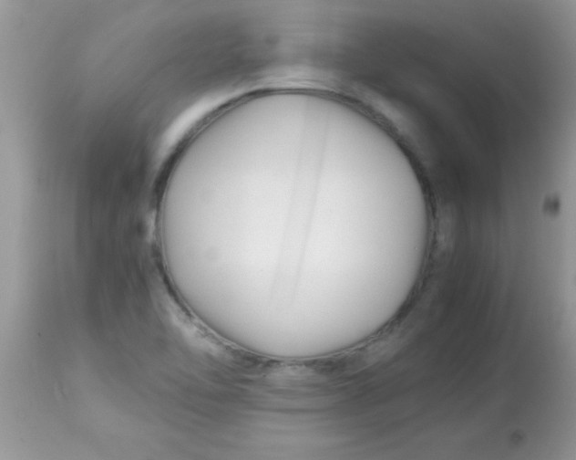 X0000113091462200909182102