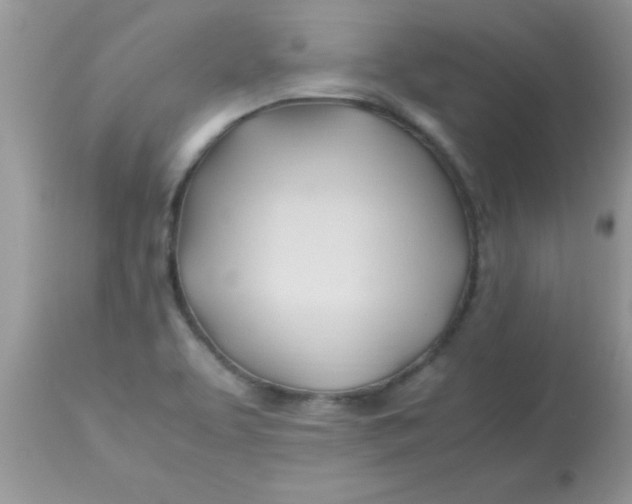 X0000113091463200909182102