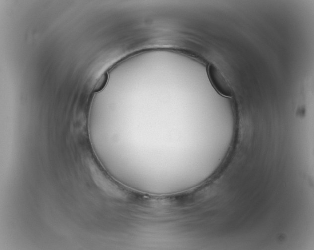 X0000113091465200909182102