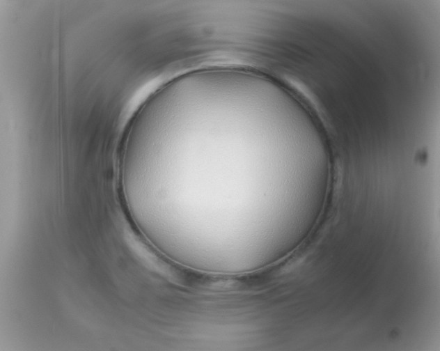 X0000113091467200909182102