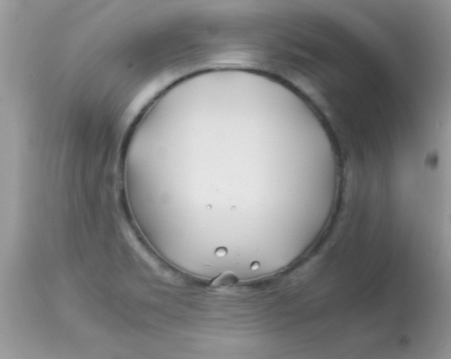 X0000113091469200909182102