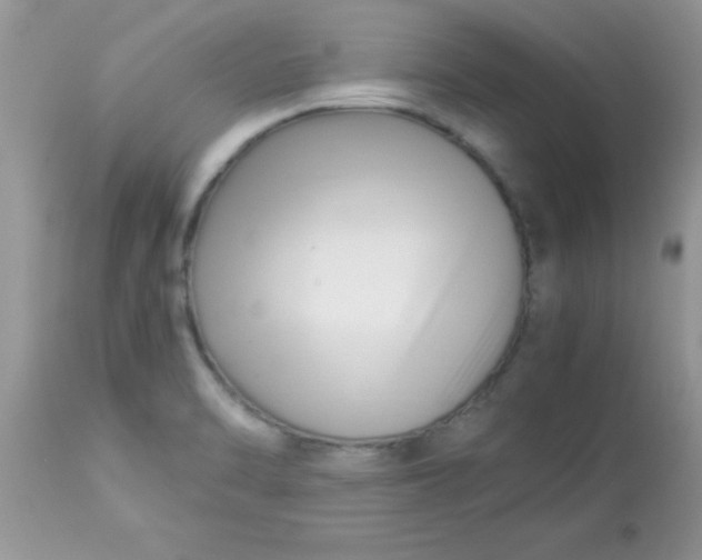 X0000113091470200909182102