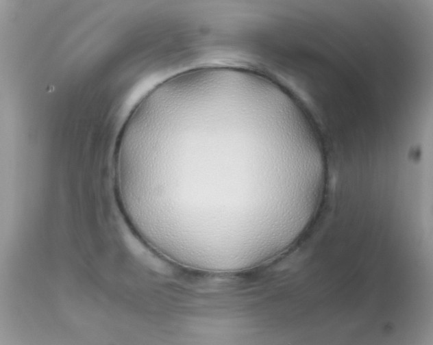 X0000113091471200909182102