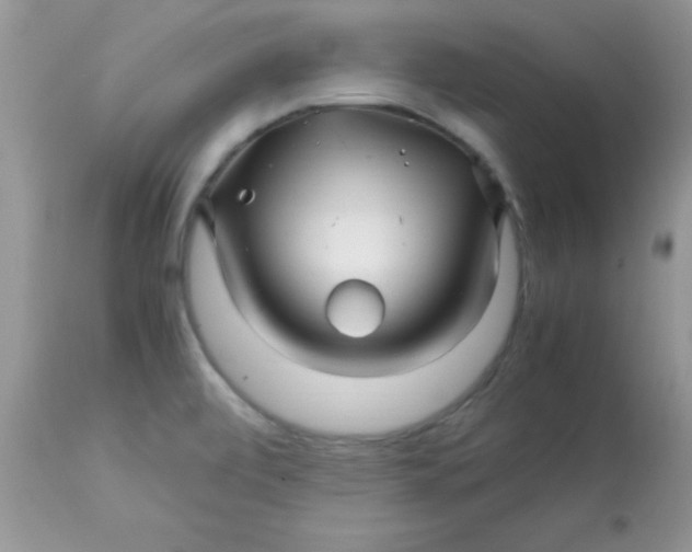 X0000113091472200909182102