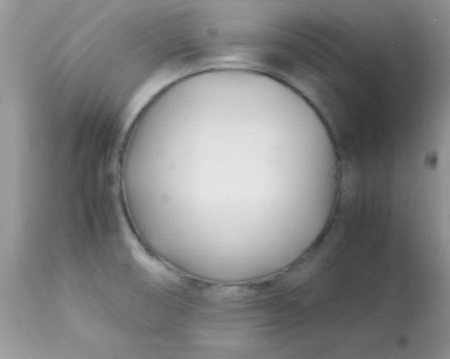 X0000113091474200909182102