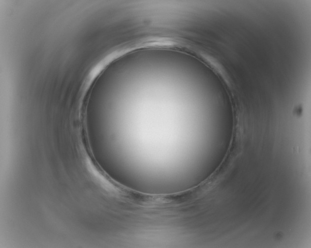X0000113091475200909182102