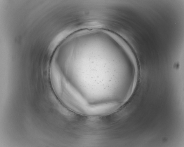 X0000113091477200909182102