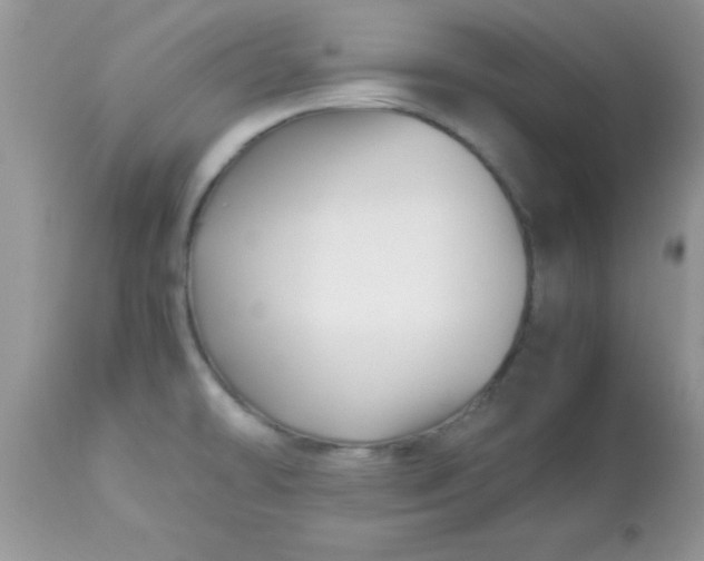 X0000113091478200909182102