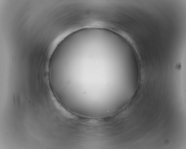 X0000113091480200909182102