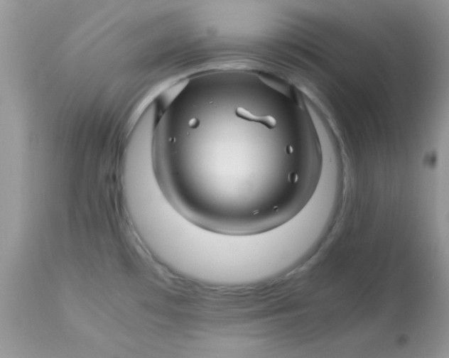 X0000113091481200909182102