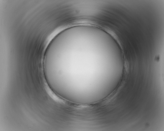 X0000113091482200909182102