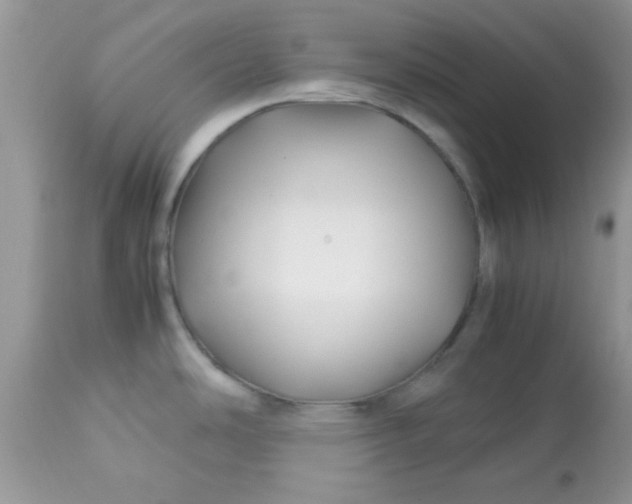 X0000113091486200909182101