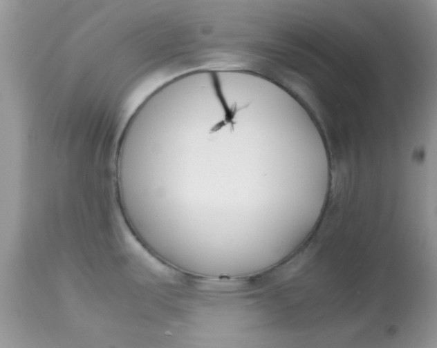 X0000113091487200909182101