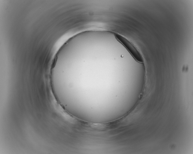 X0000113091488200909182101