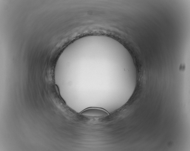 X0000113091490200909182101