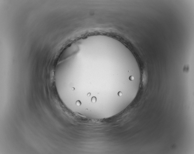 X0000113091492200909182101