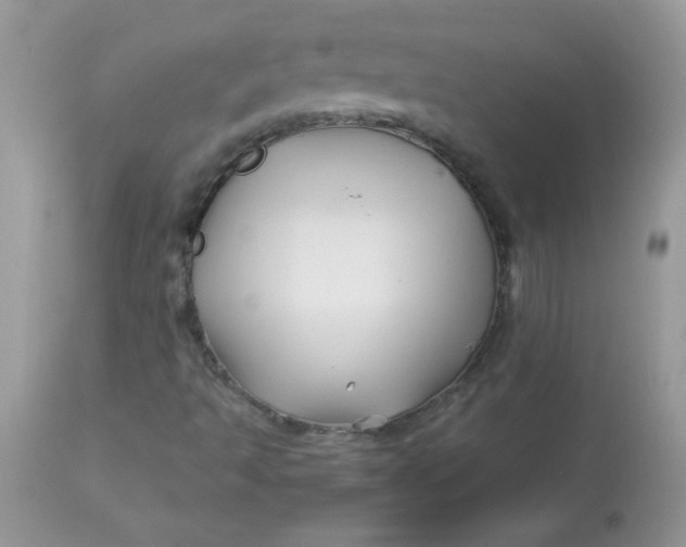X0000113091493200909182101
