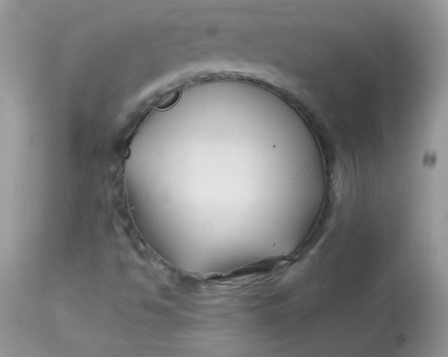X0000113091494200909182101