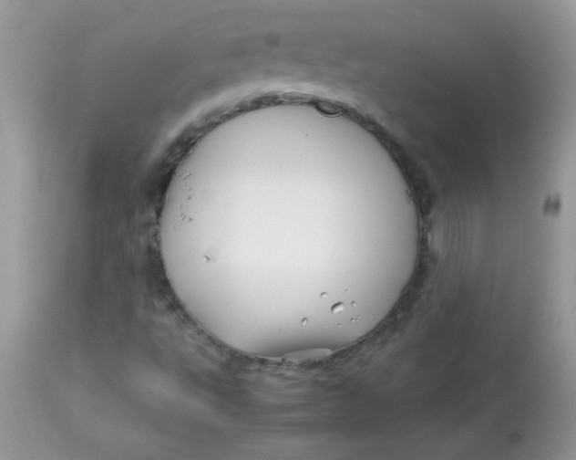 X0000113091495200909182101