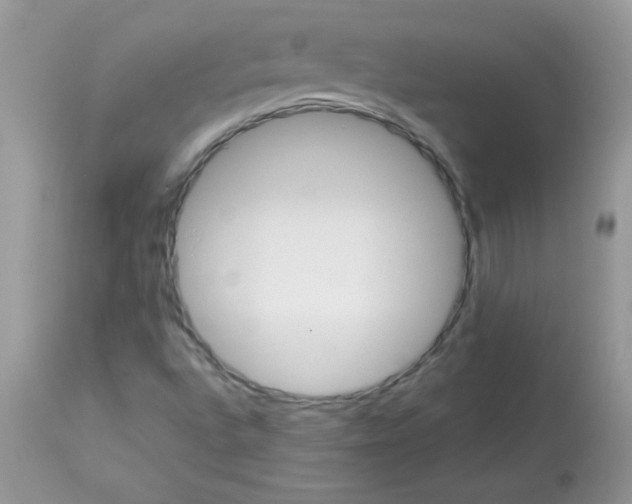 X0000113091496200909182101