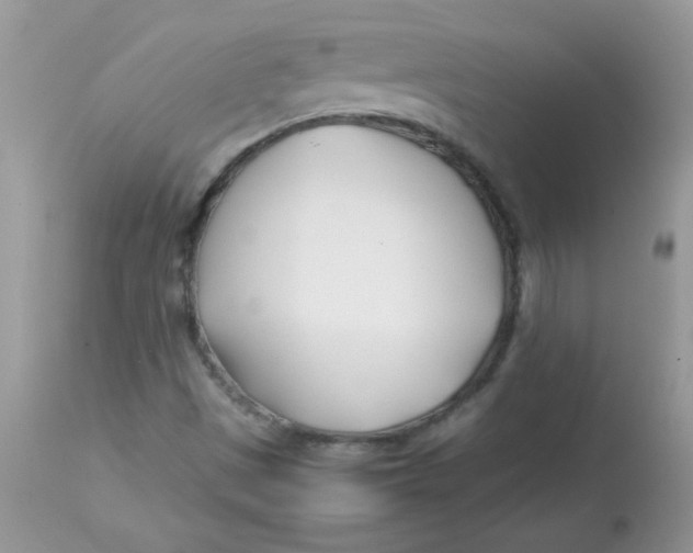 X0000113091497200909182101