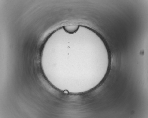X0000113091498200909182101