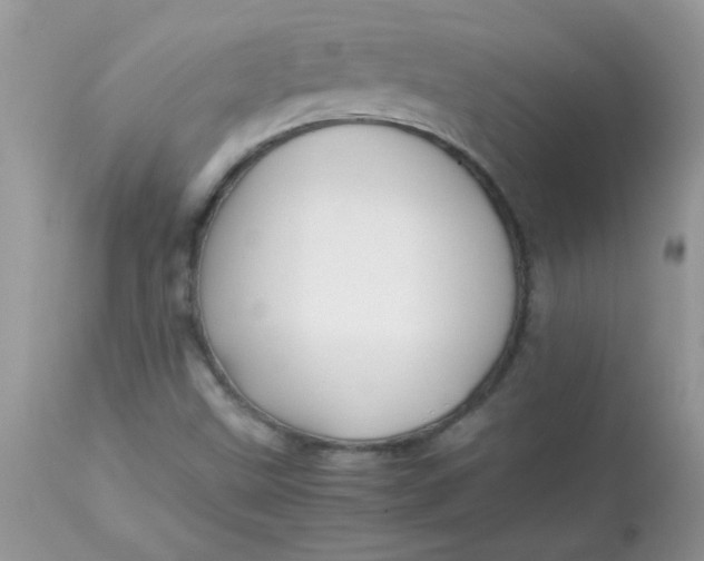 X0000113091499200909182101