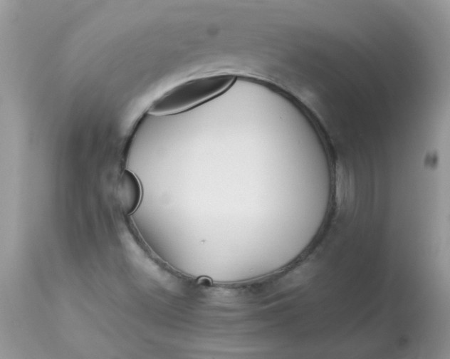 X0000113091500200909182101