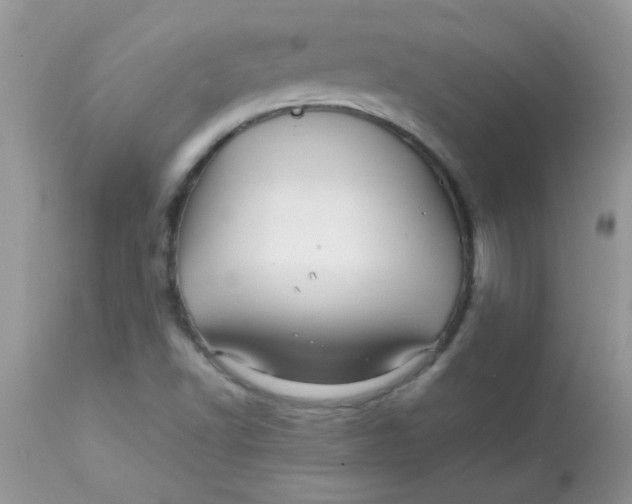 X0000113091502200909182101