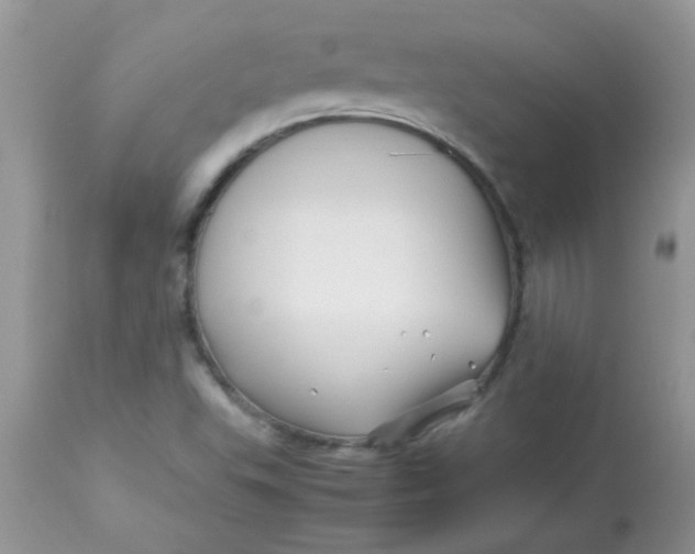 X0000113091503200909182101