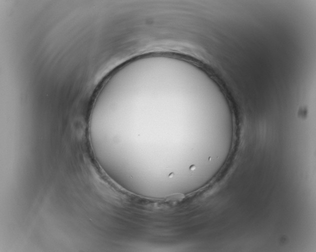 X0000113091505200909182101