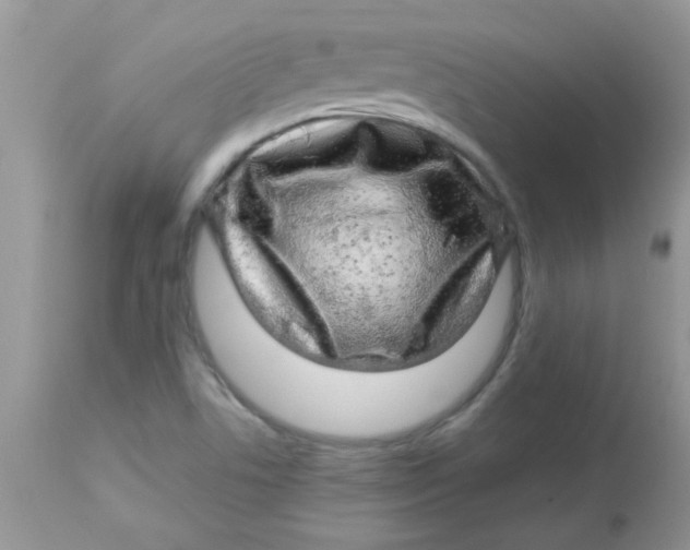 X0000113091506200909182101